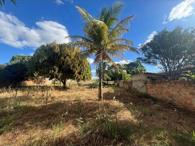 #163 - Área para Venda em Goiânia - GO - 3