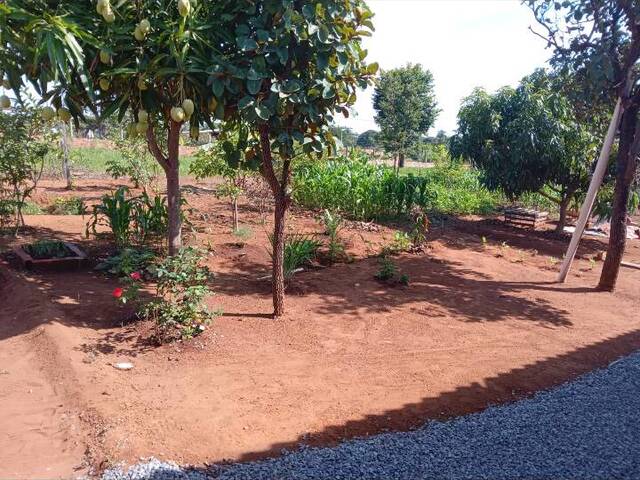 #167 - Chácara para Venda em Goiânia - GO