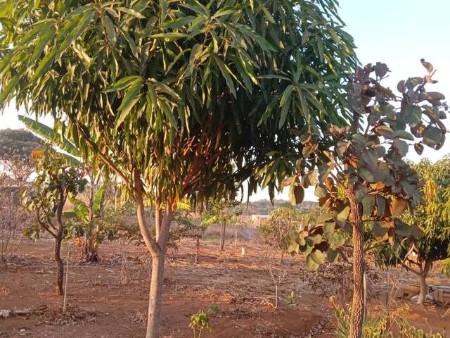 #167 - Chácara para Venda em Goiânia - GO